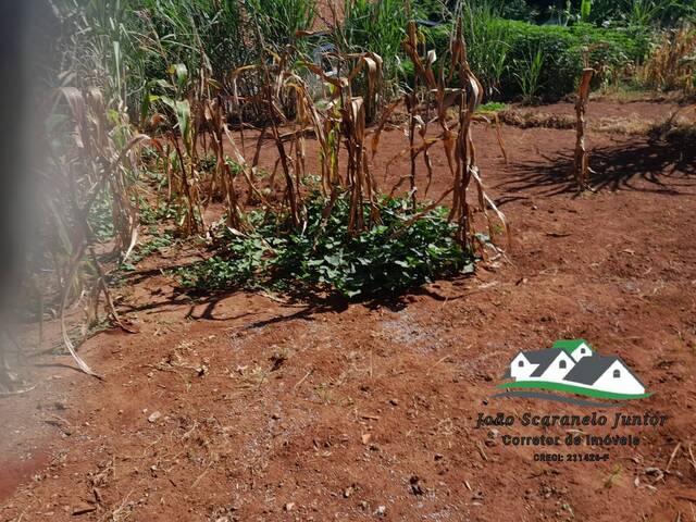 Terreno para Venda em São Pedro - 4