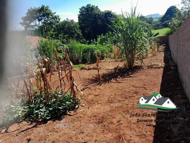 Terreno para Venda em São Pedro - 5